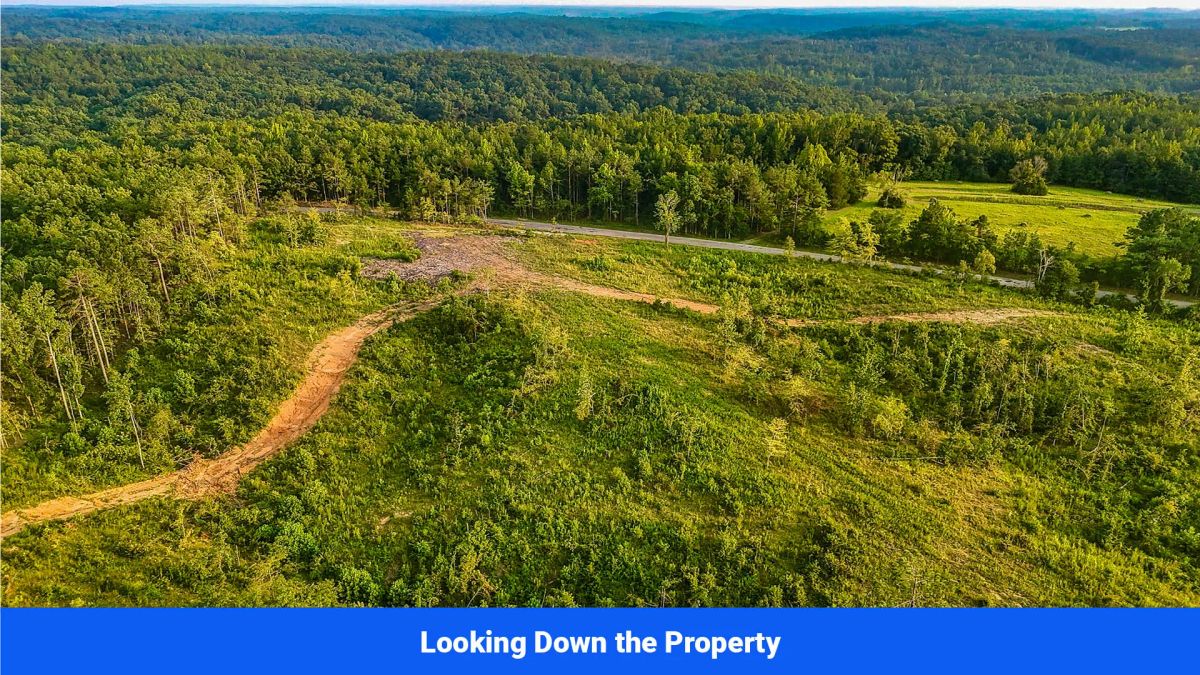 Decorative background for Old Hatchie Bend — 18 Lots, Alcorn County, Mississippi image 16