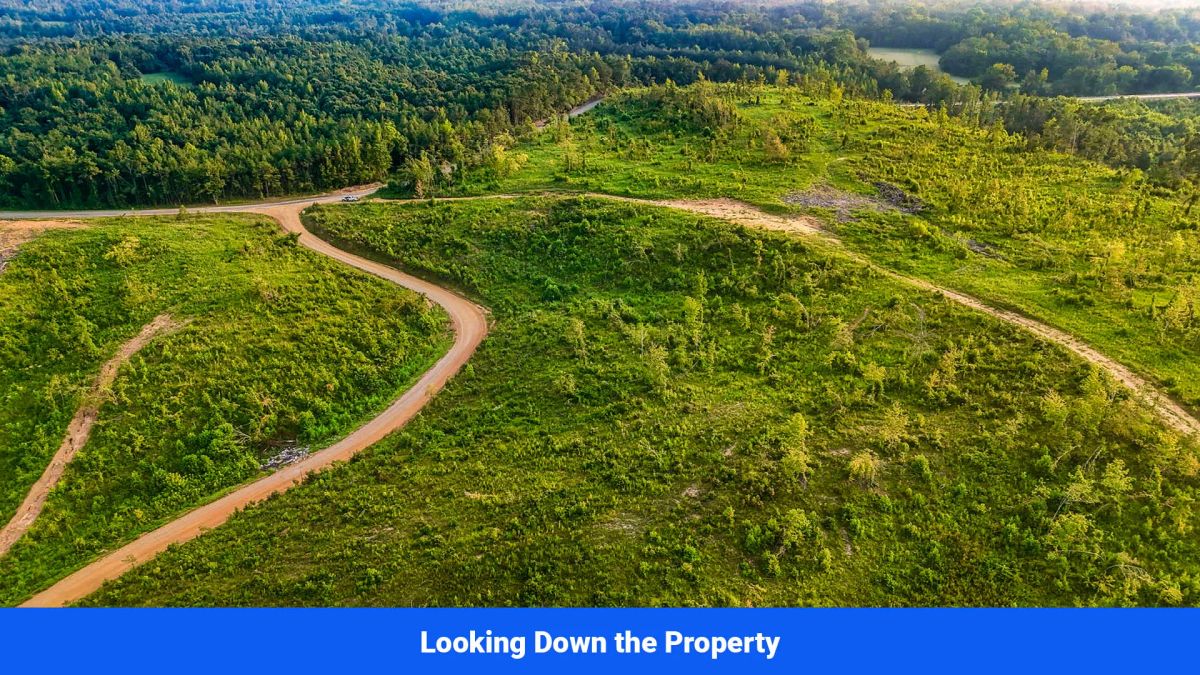 Decorative background for Old Hatchie Bend — 18 Lots, Alcorn County, Mississippi image 17