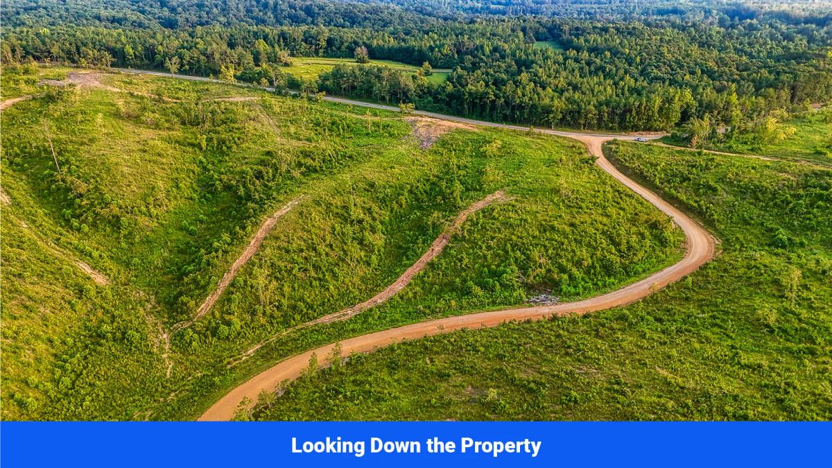 Decorative background for Old Hatchie Bend — 18 Lots, Alcorn County, Mississippi image 18