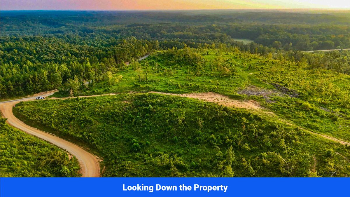 Decorative background for Old Hatchie Bend — 18 Lots, Alcorn County, Mississippi image 19