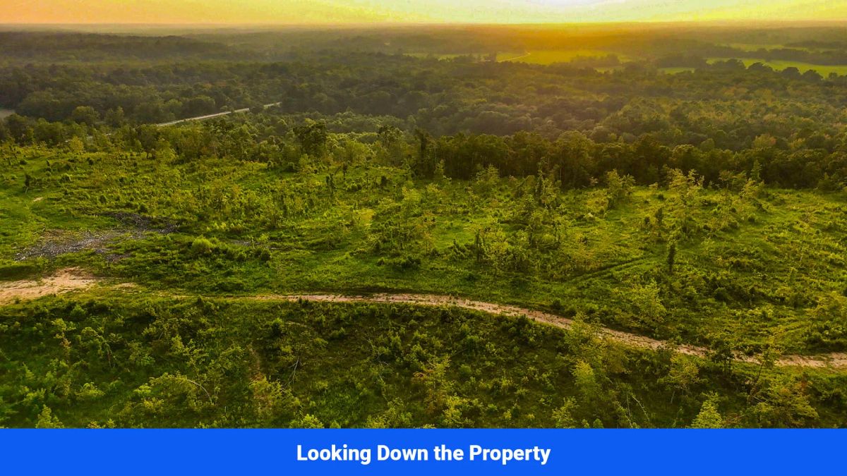 Decorative background for Old Hatchie Bend — 18 Lots, Alcorn County, Mississippi image 20