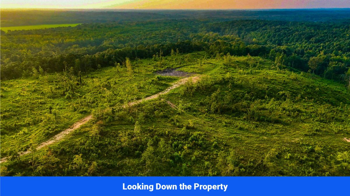 Decorative background for Old Hatchie Bend — 18 Lots, Alcorn County, Mississippi image 21