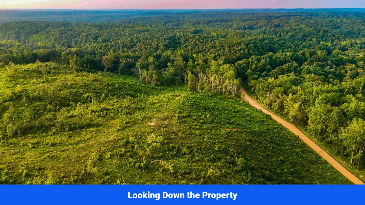 Decorative background for Old Hatchie Bend — 18 Lots, Alcorn County, Mississippi image 22