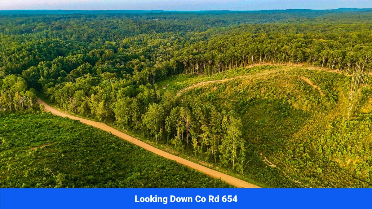 Decorative background for Old Hatchie Bend — 18 Lots, Alcorn County, Mississippi image 23