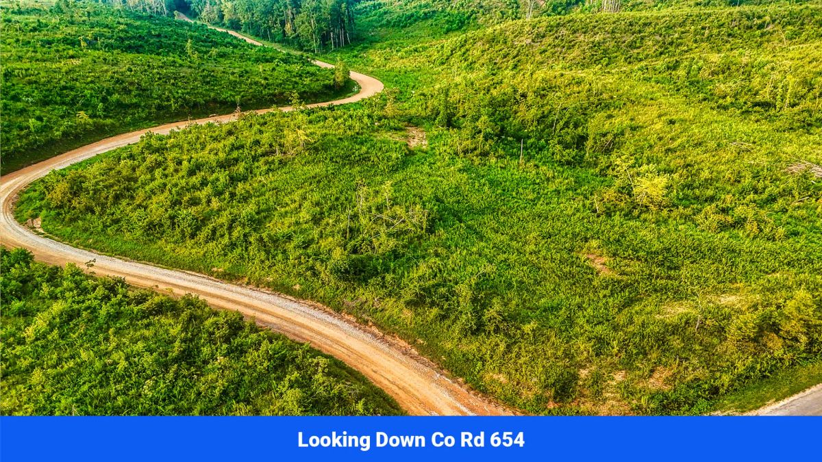 Decorative background for Old Hatchie Bend — 18 Lots, Alcorn County, Mississippi image 24