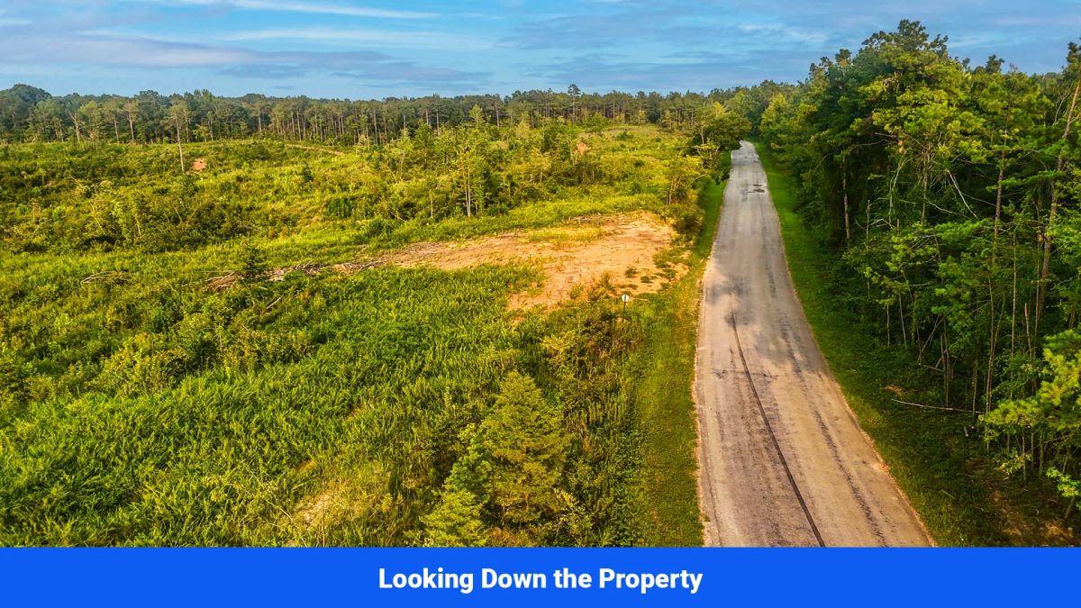 Decorative background for Old Hatchie Bend — 18 Lots, Alcorn County, Mississippi image 25