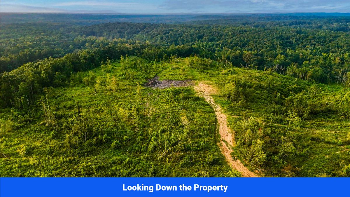 Decorative background for Old Hatchie Bend — 18 Lots, Alcorn County, Mississippi image 26