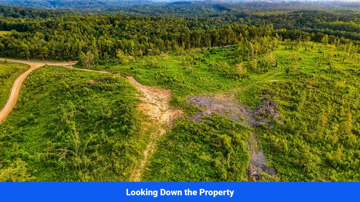 Decorative background for Old Hatchie Bend — 18 Lots, Alcorn County, Mississippi image 27