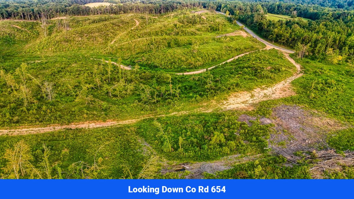 Decorative background for Old Hatchie Bend — 18 Lots, Alcorn County, Mississippi image 29