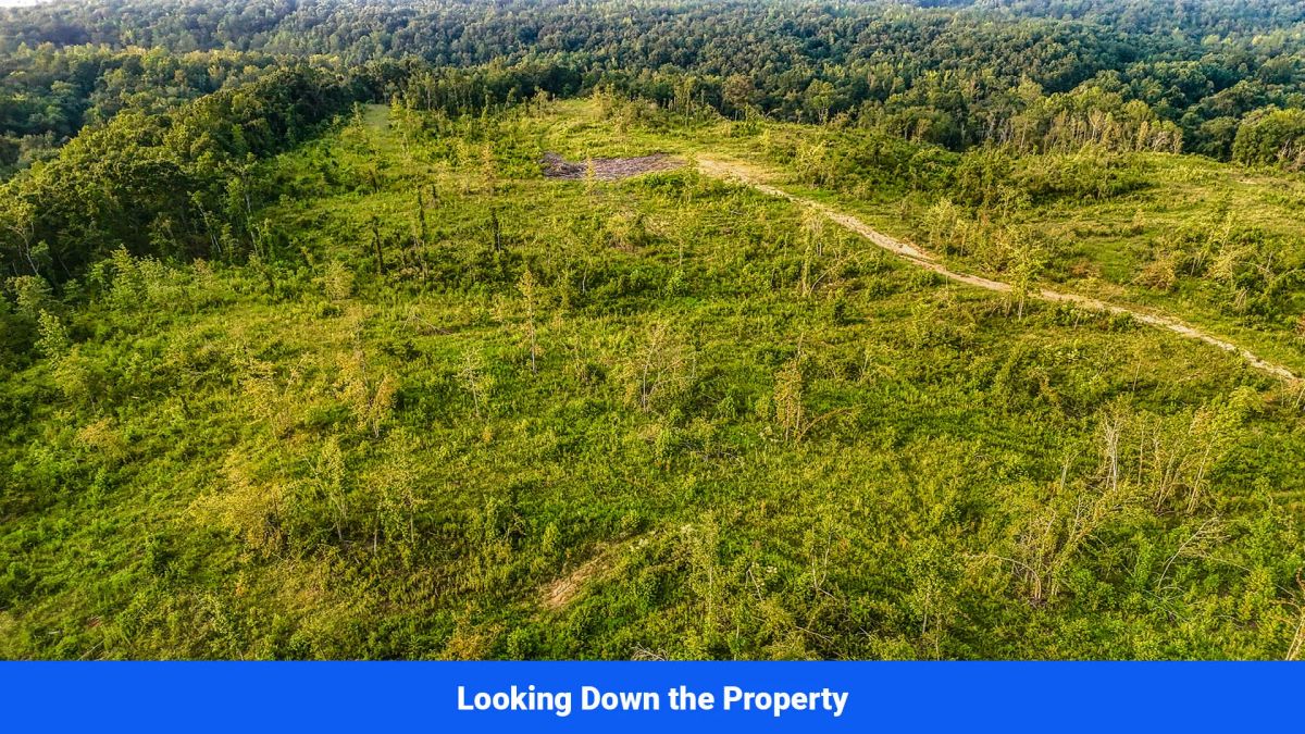Decorative background for Old Hatchie Bend — 18 Lots, Alcorn County, Mississippi image 30