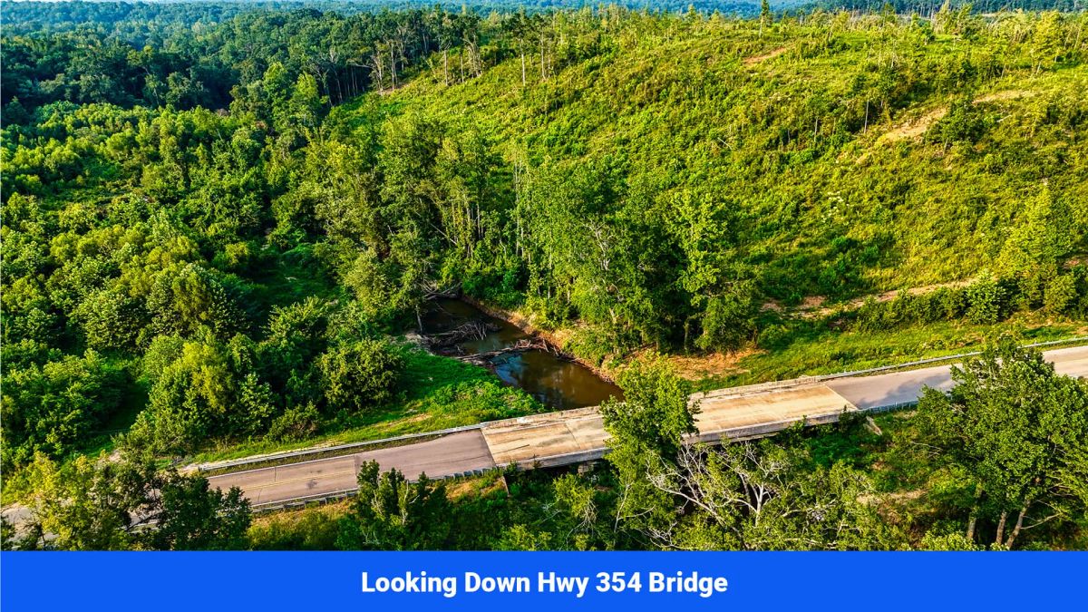 Decorative background for Old Hatchie Bend — 18 Lots, Alcorn County, Mississippi image 32