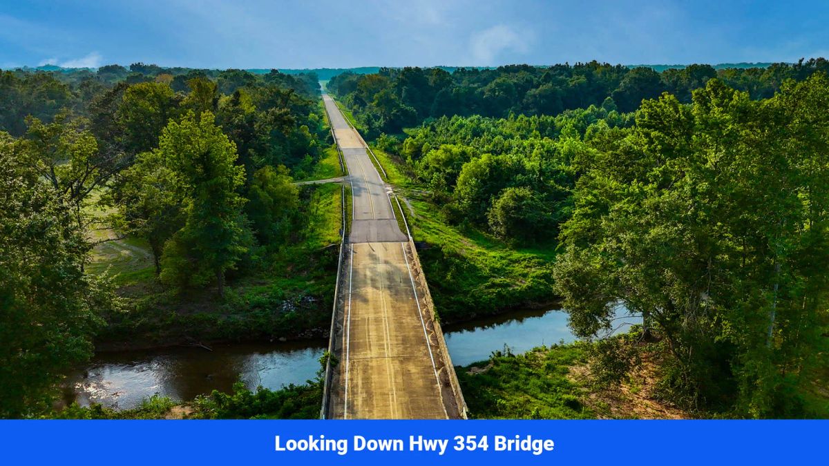 Decorative background for Old Hatchie Bend — 18 Lots, Alcorn County, Mississippi image 33