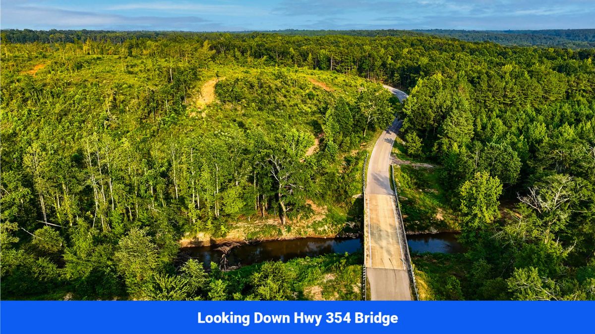 Decorative background for Old Hatchie Bend — 18 Lots, Alcorn County, Mississippi image 34