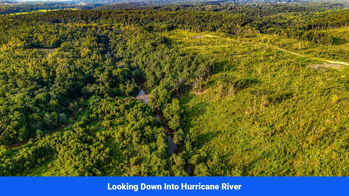 Decorative background for Old Hatchie Bend — 18 Lots, Alcorn County, Mississippi image 35