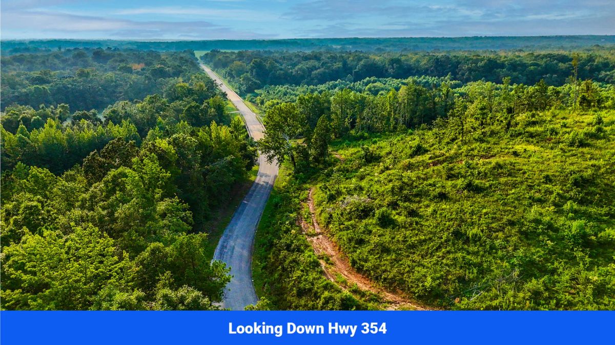 Decorative background for Old Hatchie Bend — 18 Lots, Alcorn County, Mississippi image 36