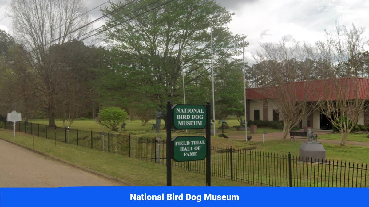 Decorative background for Old Hatchie Bend — 18 Lots, Alcorn County, Mississippi image 42