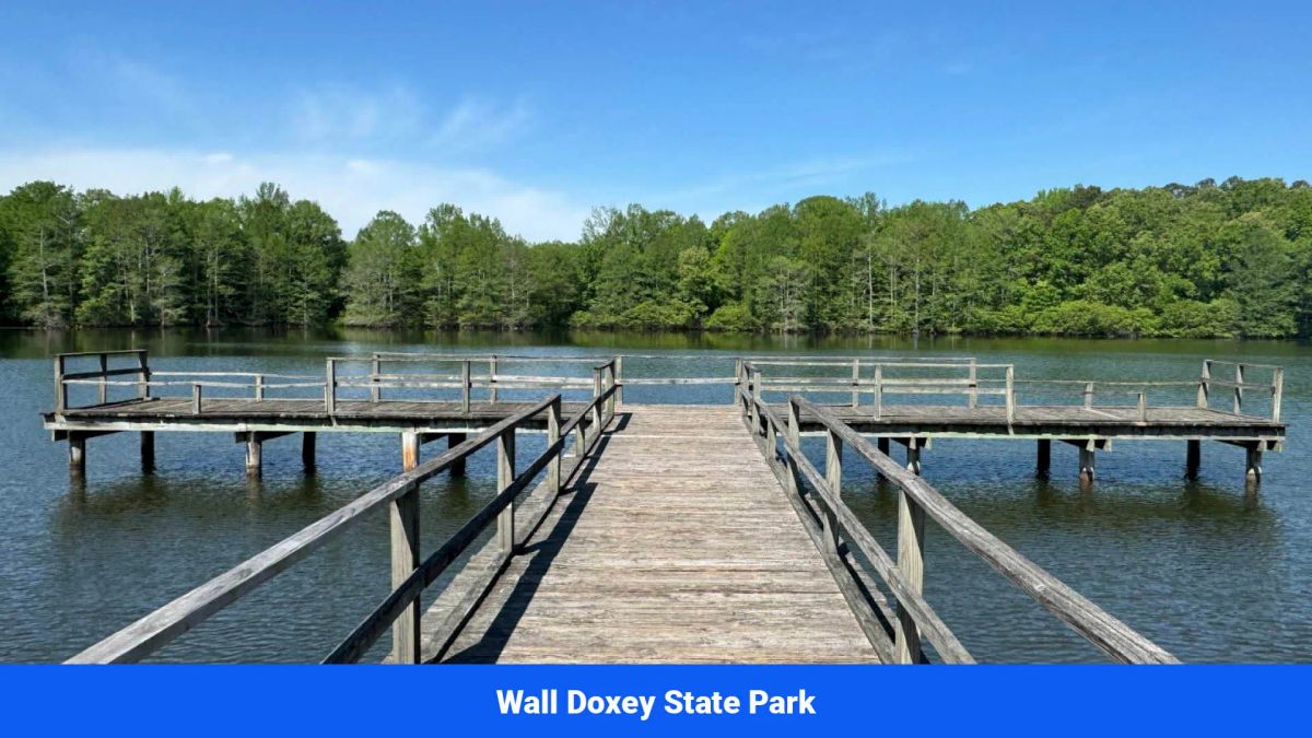 Decorative background for Old Hatchie Bend — 18 Lots, Alcorn County, Mississippi image 52