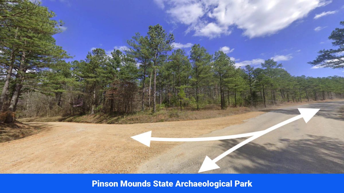 Decorative background for Old Hatchie Bend — 18 Lots, Alcorn County, Mississippi image 57