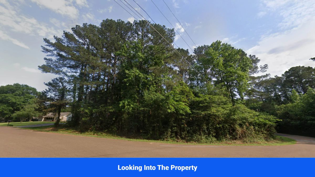 Discover Attala County’s Hidden Gem: 4 Premier Lots Offering Affordable Living and Unmatched Natural Beauty! - Image 4