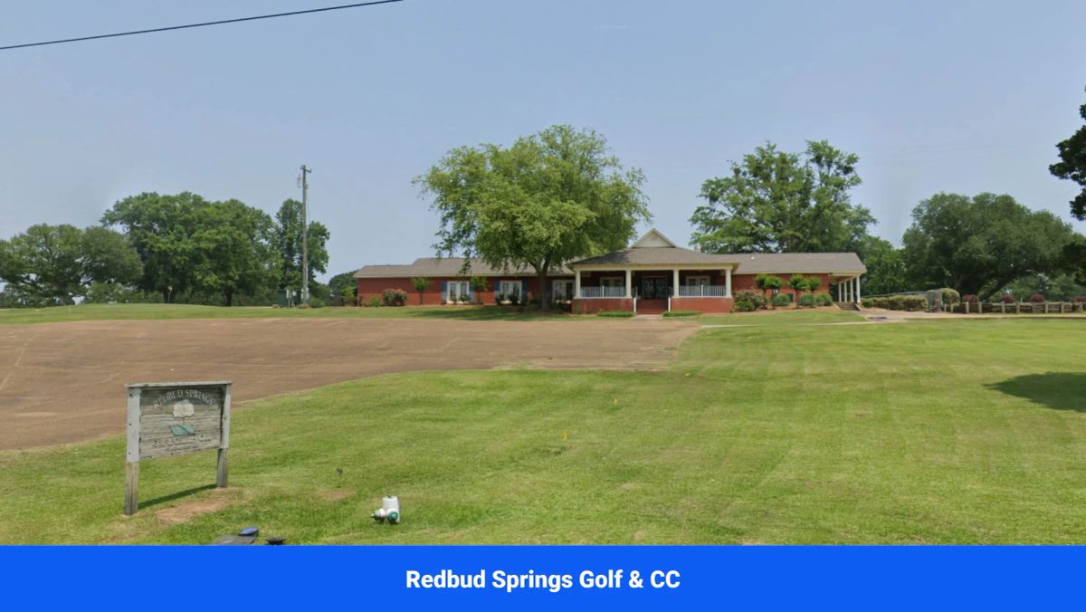 Decorative background for Discover Attala County’s Hidden Gem: 4 Premier Lots Offering Affordable Living and Unmatched Natural Beauty! image 11