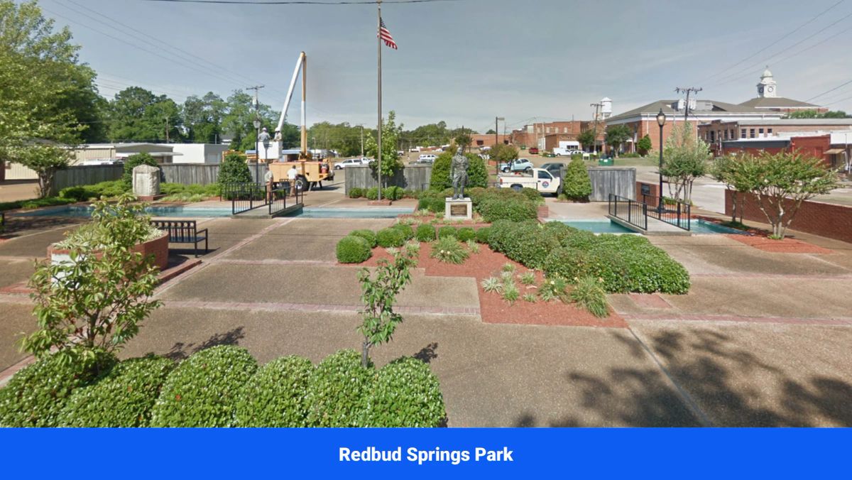Decorative background for Discover Attala County’s Hidden Gem: 4 Premier Lots Offering Affordable Living and Unmatched Natural Beauty! image 12