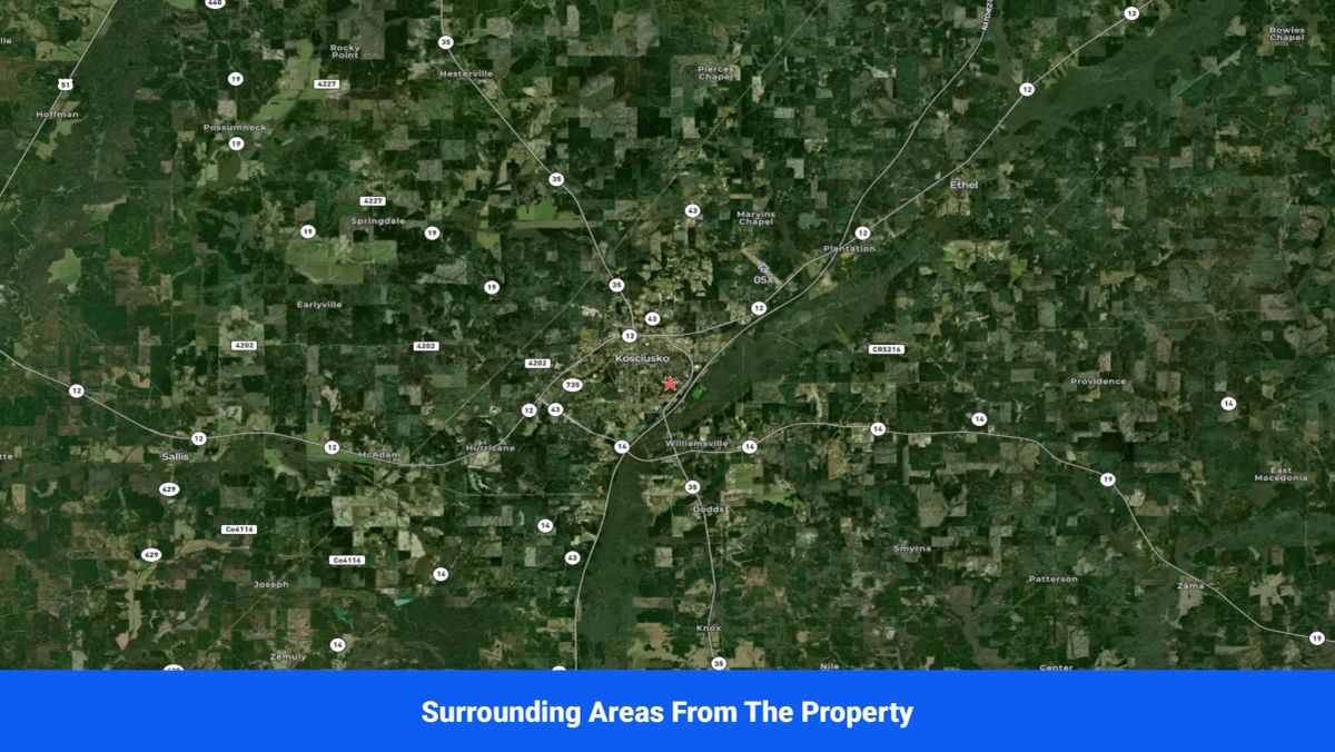 Decorative background for Discover Attala County’s Hidden Gem: 4 Premier Lots Offering Affordable Living and Unmatched Natural Beauty! image 15