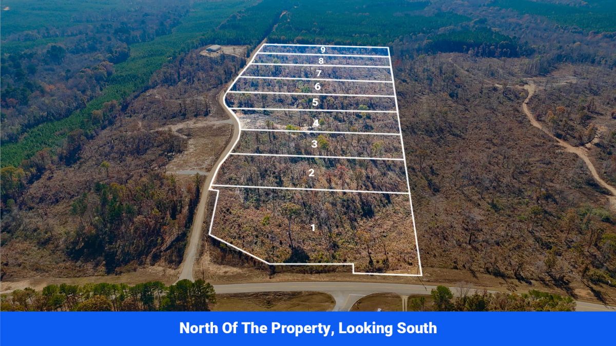Prentiss County’s Hidden Treasure: 9 Lot’s Available With No Restrictions! - Image 3
