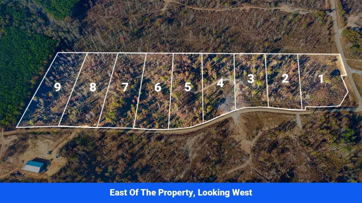 Decorative background for Prentiss County’s Hidden Treasure: 9 Lot’s Available With No Restrictions! image 5