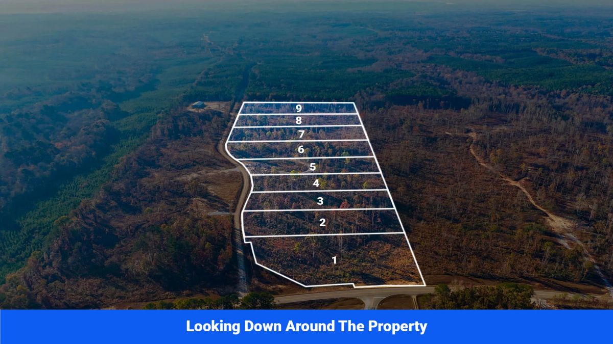 Decorative background for Prentiss County’s Hidden Treasure: 9 Lot’s Available With No Restrictions! image 6