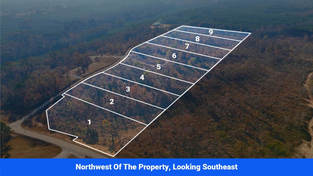 Decorative background for Prentiss County’s Hidden Treasure: 9 Lot’s Available With No Restrictions! image 7