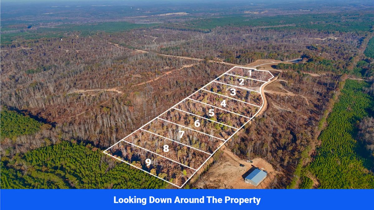 Decorative background for Prentiss County’s Hidden Treasure: 9 Lot’s Available With No Restrictions! image 8