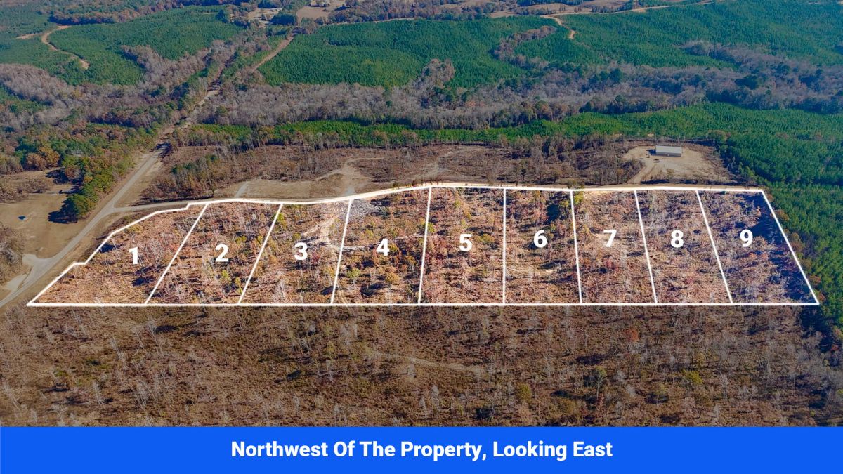 Decorative background for Prentiss County’s Hidden Treasure: 9 Lot’s Available With No Restrictions! image 9