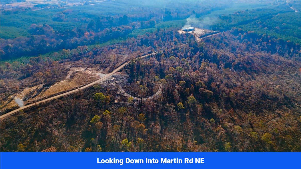 Decorative background for Prentiss County’s Hidden Treasure: 9 Lot’s Available With No Restrictions! image 10