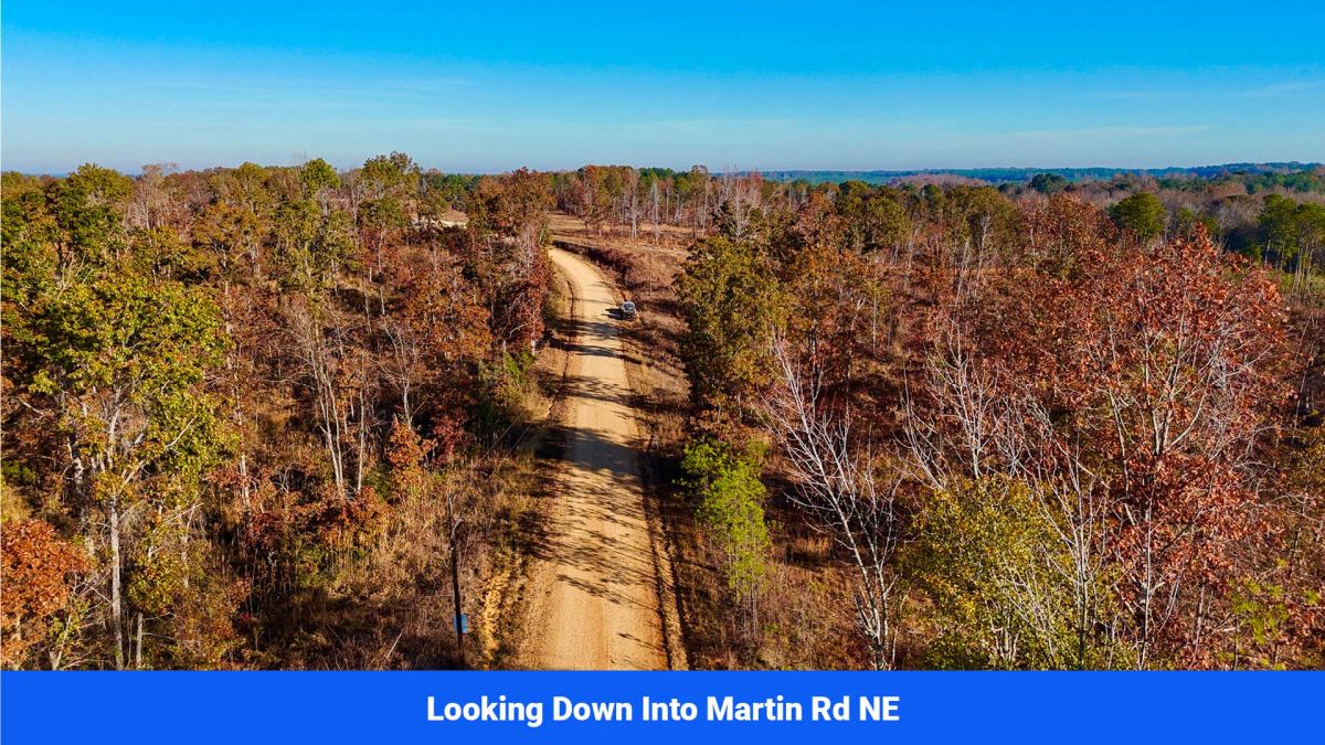 Decorative background for Prentiss County’s Hidden Treasure: 9 Lot’s Available With No Restrictions! image 12