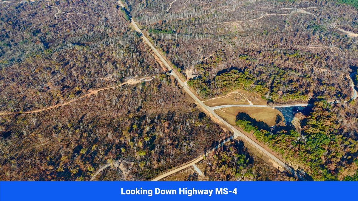 Decorative background for Prentiss County’s Hidden Treasure: 9 Lot’s Available With No Restrictions! image 13