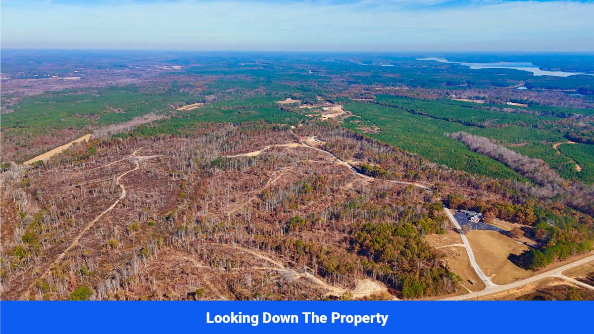 Decorative background for Prentiss County’s Hidden Treasure: 9 Lot’s Available With No Restrictions! image 14
