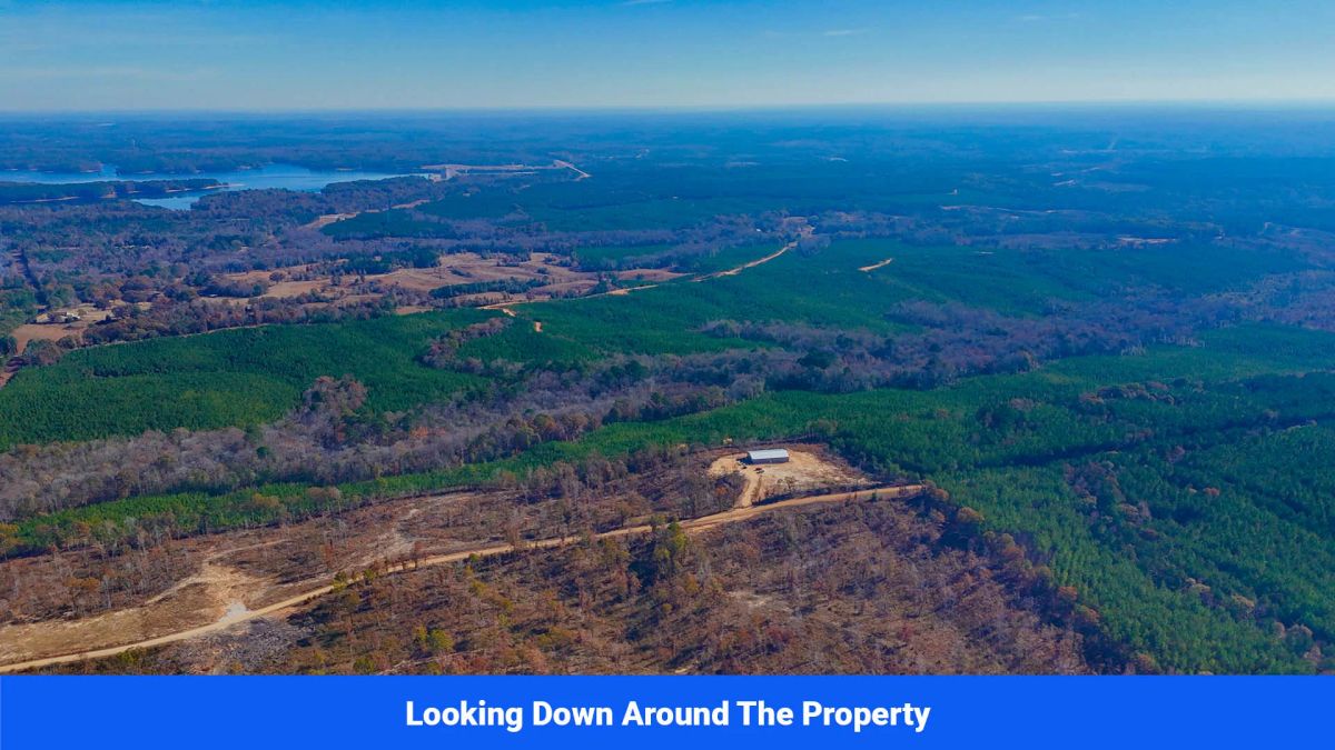Decorative background for Prentiss County’s Hidden Treasure: 9 Lot’s Available With No Restrictions! image 15
