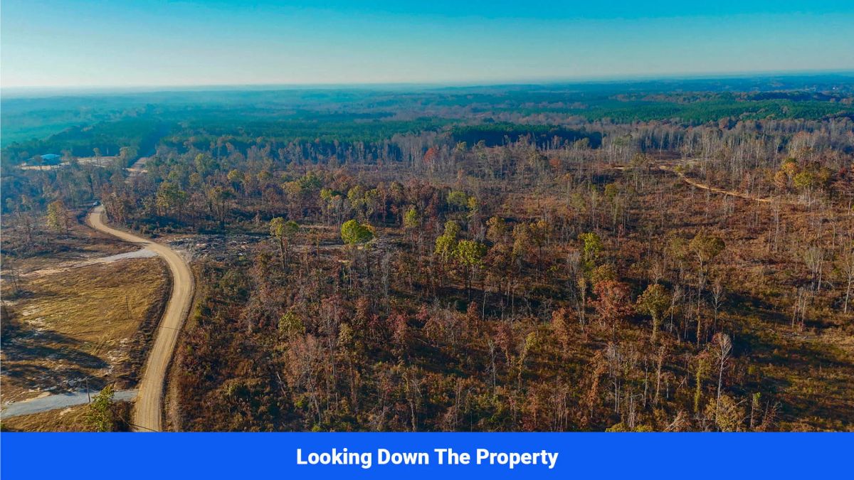 Decorative background for Prentiss County’s Hidden Treasure: 9 Lot’s Available With No Restrictions! image 16