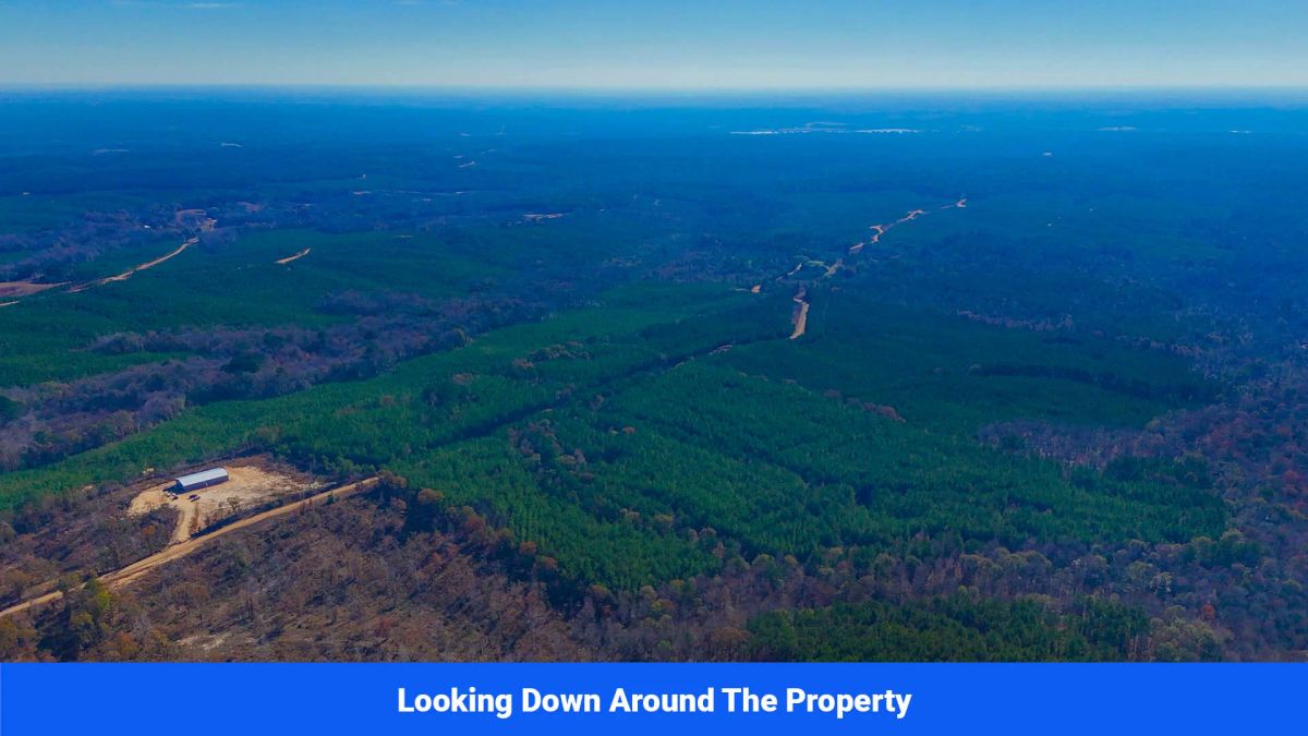 Decorative background for Prentiss County’s Hidden Treasure: 9 Lot’s Available With No Restrictions! image 17