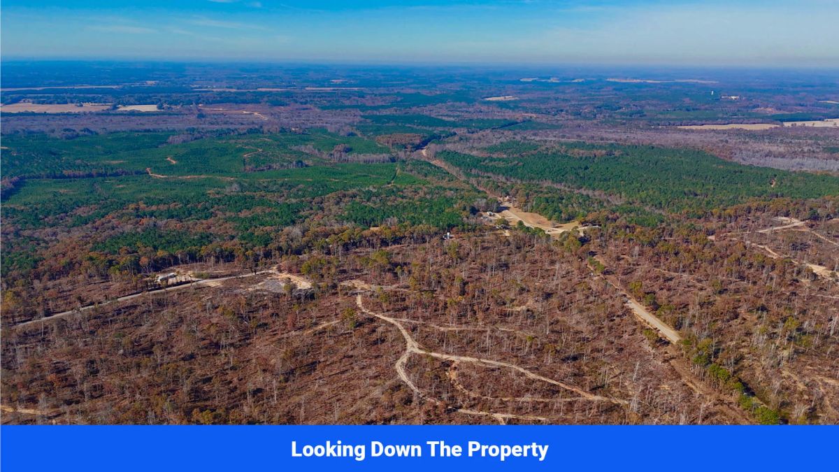 Decorative background for Prentiss County’s Hidden Treasure: 9 Lot’s Available With No Restrictions! image 18