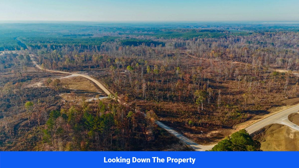 Decorative background for Prentiss County’s Hidden Treasure: 9 Lot’s Available With No Restrictions! image 19