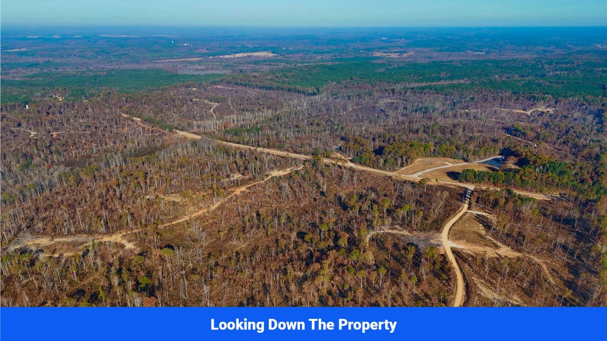 Decorative background for Prentiss County’s Hidden Treasure: 9 Lot’s Available With No Restrictions! image 20