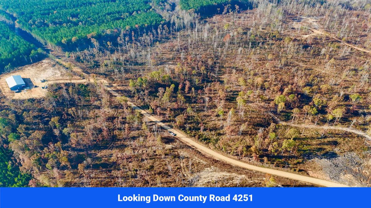Decorative background for Prentiss County’s Hidden Treasure: 9 Lot’s Available With No Restrictions! image 21