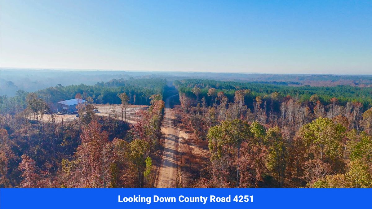 Decorative background for Prentiss County’s Hidden Treasure: 9 Lot’s Available With No Restrictions! image 22
