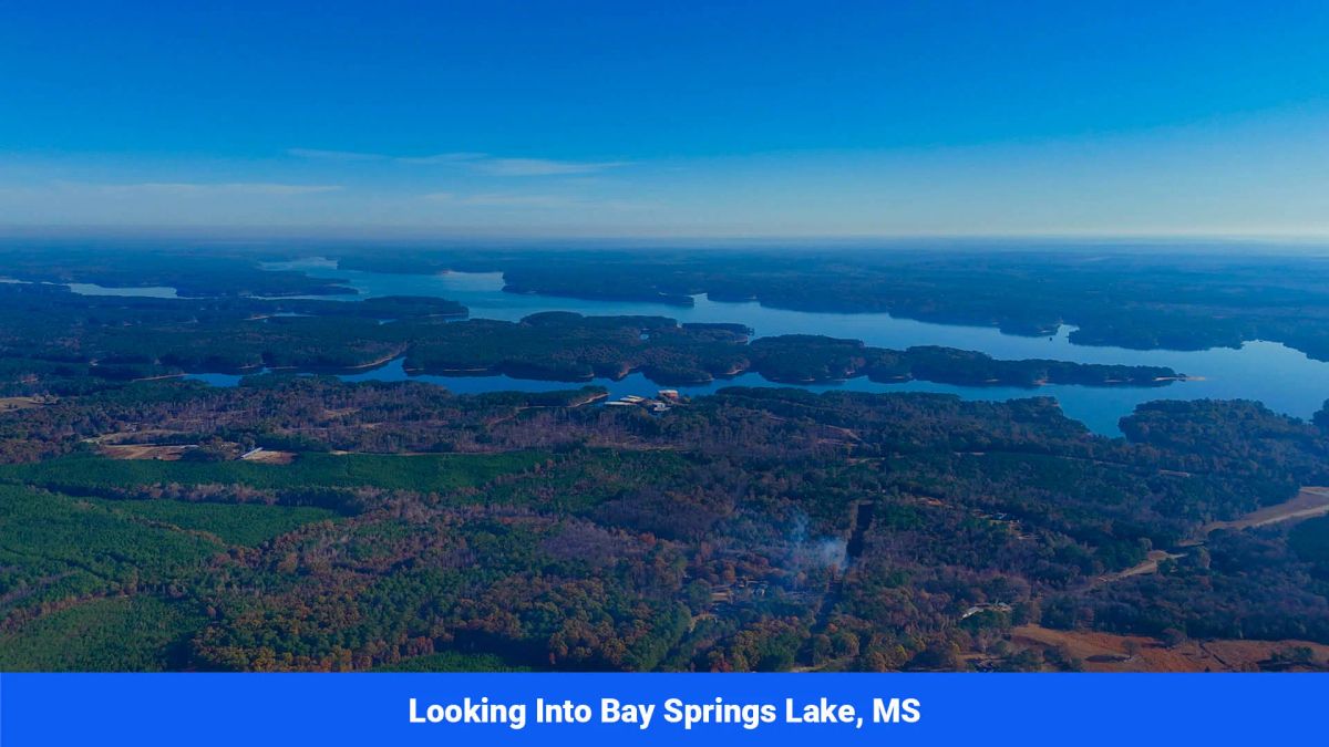 Decorative background for Prentiss County’s Hidden Treasure: 9 Lot’s Available With No Restrictions! image 23