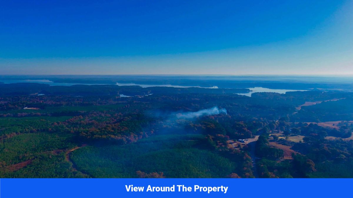 Decorative background for Prentiss County’s Hidden Treasure: 9 Lot’s Available With No Restrictions! image 24