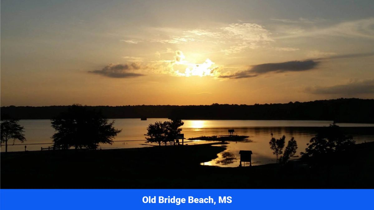 Decorative background for Prentiss County’s Hidden Treasure: 9 Lot’s Available With No Restrictions! image 27