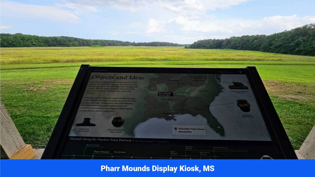 Decorative background for Prentiss County’s Hidden Treasure: 9 Lot’s Available With No Restrictions! image 28