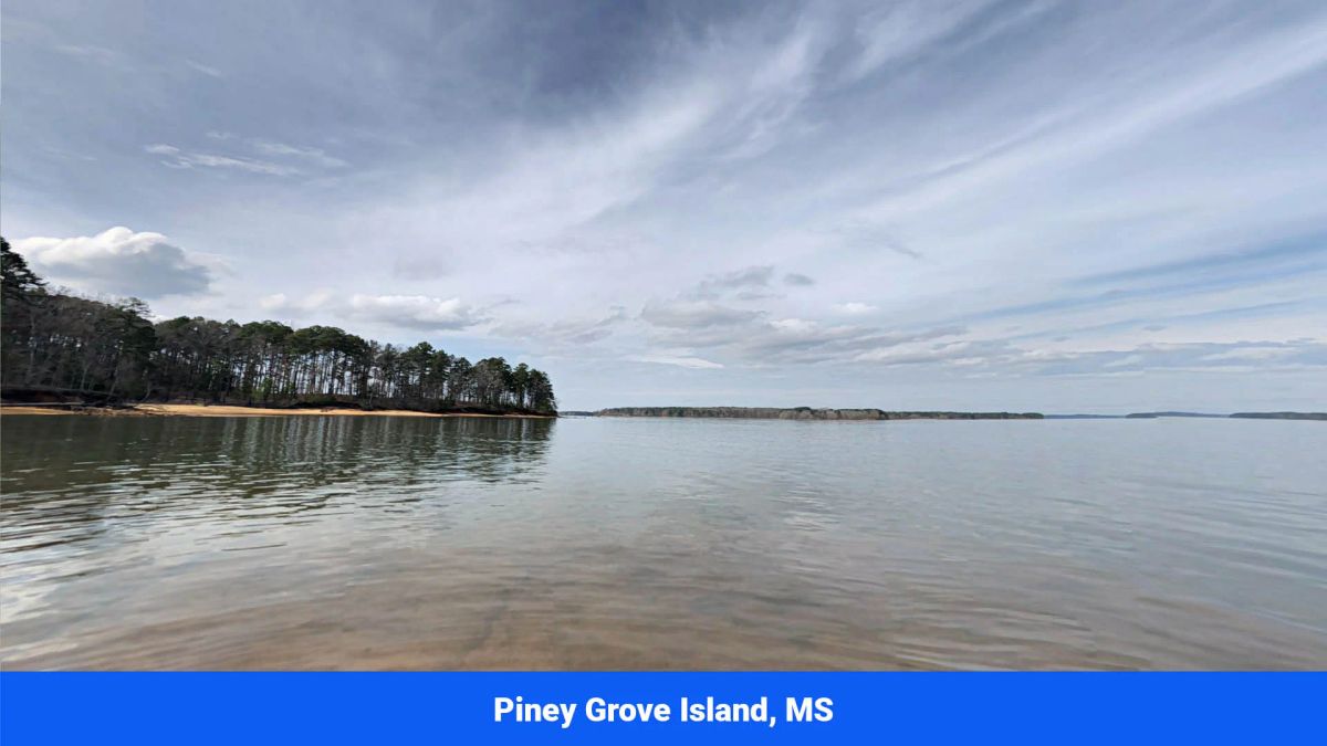 Decorative background for Prentiss County’s Hidden Treasure: 9 Lot’s Available With No Restrictions! image 29