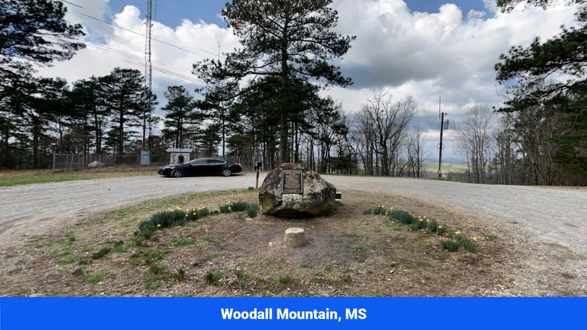 Decorative background for Prentiss County’s Hidden Treasure: 9 Lot’s Available With No Restrictions! image 32